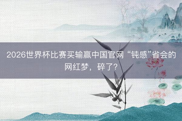 2026世界杯比赛买输赢中国官网 “钝感”省会的网红梦，碎了？