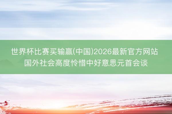世界杯比赛买输赢(中国)2026最新官方网站 国外社会高度怜惜中好意思元首会谈