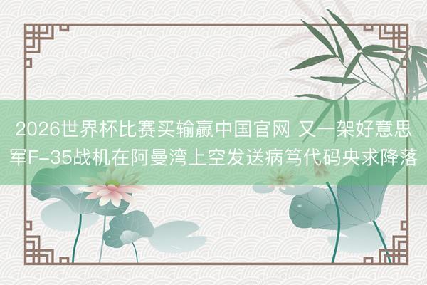 2026世界杯比赛买输赢中国官网 又一架好意思军F-35战机在阿曼湾上空发送病笃代码央求降落