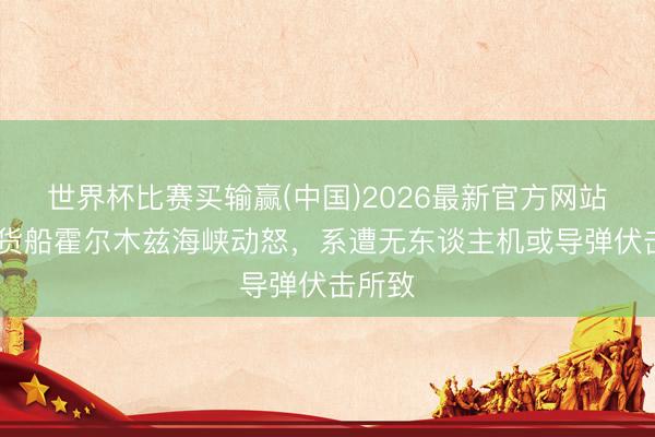 世界杯比赛买输赢(中国)2026最新官方网站 韩国货船霍尔木兹海峡动怒，系遭无东谈主机或导弹伏击所致