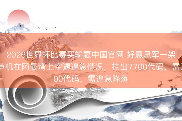2026世界杯比赛买输赢中国官网 好意思军一架F-35战争机在阿曼湾上空遇遑急情况，挂出7700代码，需遑急降落