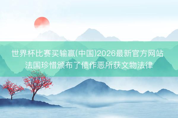 世界杯比赛买输赢(中国)2026最新官方网站 法国珍惜颁布了债作恶所获文物法律