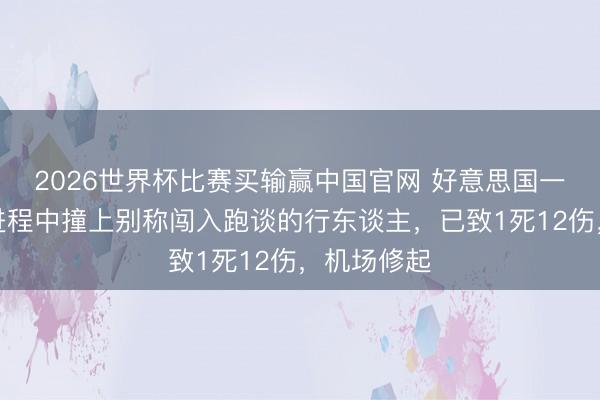 2026世界杯比赛买输赢中国官网 好意思国一客机升起进程中撞上别称闯入跑谈的行东谈主，已致1死12伤，机场修起