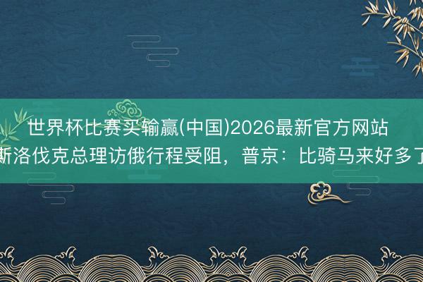 世界杯比赛买输赢(中国)2026最新官方网站 斯洛伐克总理访俄行程受阻，普京：比骑马来好多了