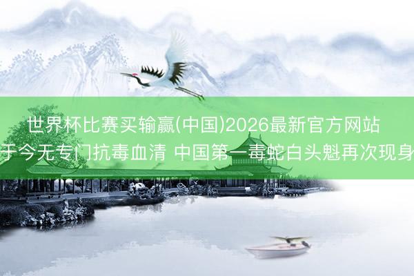 世界杯比赛买输赢(中国)2026最新官方网站 于今无专门抗毒血清 中国第一毒蛇白头魁再次现身