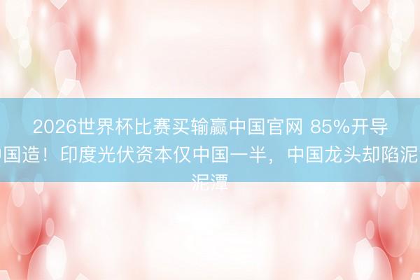 2026世界杯比赛买输赢中国官网 85%开导中国造！印度光伏资本仅中国一半，中国龙头却陷泥潭