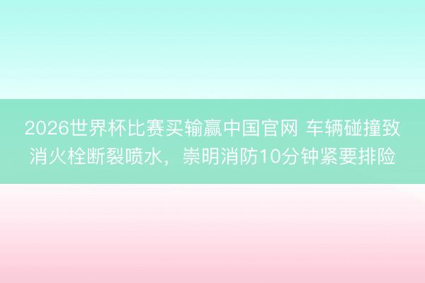 2026世界杯比赛买输赢中国官网 车辆碰撞致消火栓断裂喷水，崇明消防10分钟紧要排险