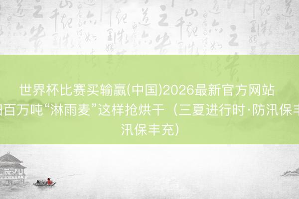 世界杯比赛买输赢(中国)2026最新官方网站 襄阳百万吨“淋雨麦”这样抢烘干（三夏进行时·防汛保丰充）