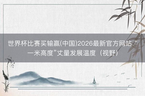 世界杯比赛买输赢(中国)2026最新官方网站 “一米高度”丈量发展温度（视野）
