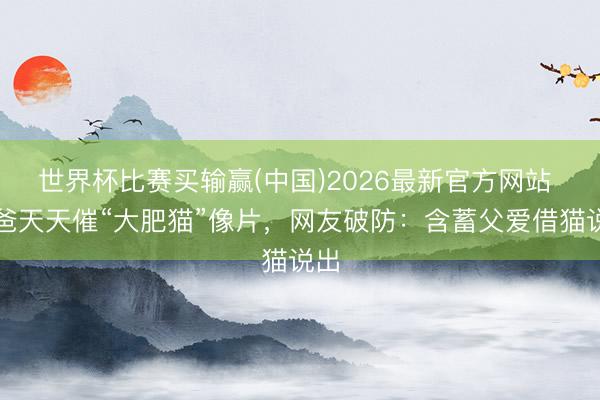 世界杯比赛买输赢(中国)2026最新官方网站 爸爸天天催“大肥猫”像片,网友破防:含蓄父爱借猫说出