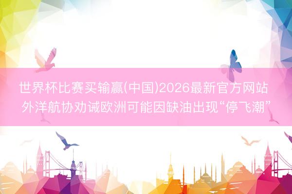 世界杯比赛买输赢(中国)2026最新官方网站 外洋航协劝诫欧洲可能因缺油出现“停飞潮”