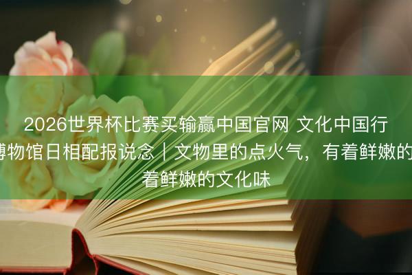 2026世界杯比赛买输赢中国官网 文化中国行·外洋博物馆日相配报说念|文物里的点火气,有着鲜嫩的文化味