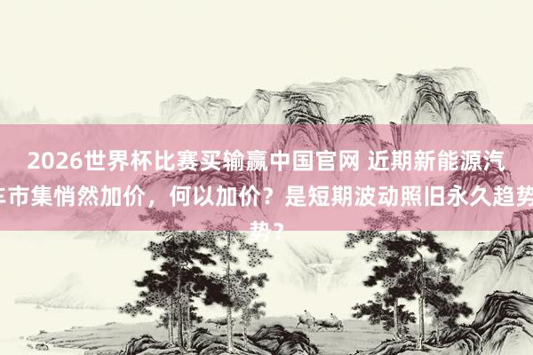 2026世界杯比赛买输赢中国官网 近期新能源汽车市集悄然加价，何以加价？是短期波动照旧永久趋势？
