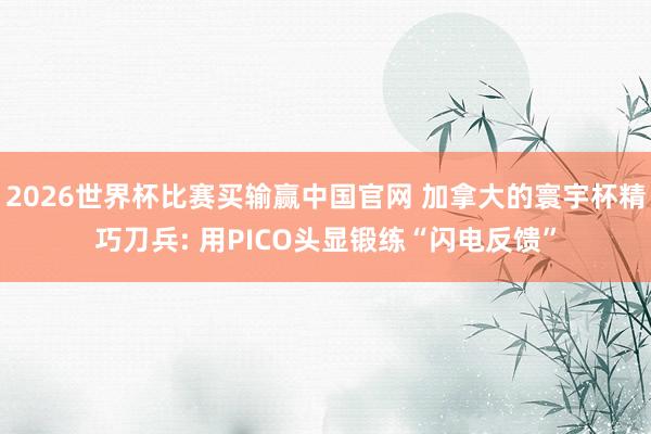 2026世界杯比赛买输赢中国官网 加拿大的寰宇杯精巧刀兵: 用PICO头显锻练“闪电反馈”